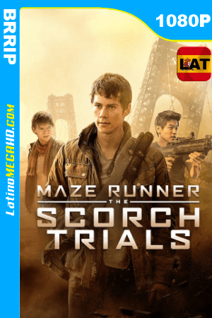 Maze Runner: Prueba de fuego (2015) Latino HD 1080P ()