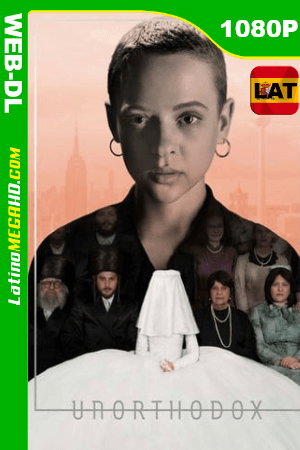 Poco Ortodoxa (2020) Mini Serie Latino HD WEB-DL 1080P ()