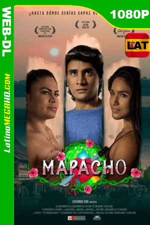 Mapacho (2019) Latino HD WEB-DL 1080P ()