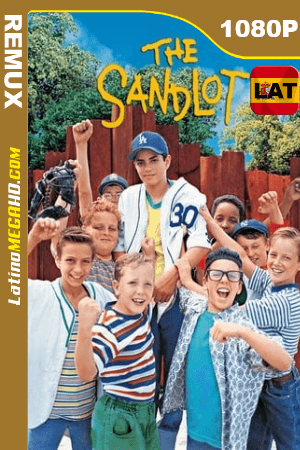 Nuestra Pandilla (1993) Latino HD BDREMUX 1080P ()