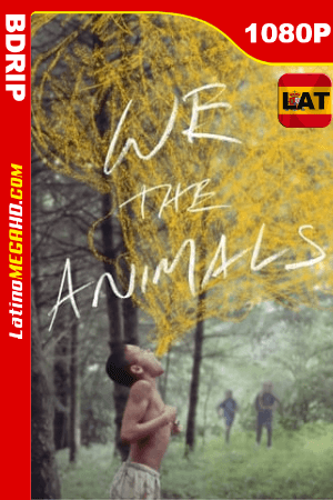 We the Animals (2018) Latino HD BDRIP 1080P ()