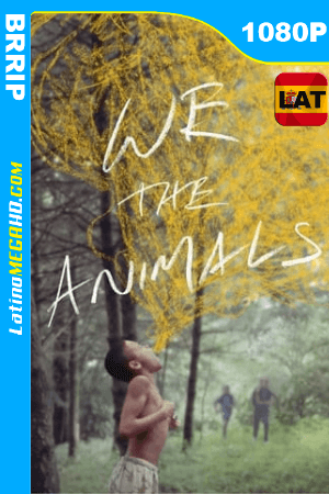 We the Animals (2018) Latino HD 1080P ()