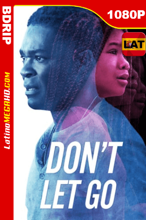 Don’t Let Go (2019) Latino HD BDRIP 1080P - 2019