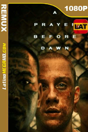 Una oración antes del amanecer (2017) Latino HD BDREMUX 1080p ()