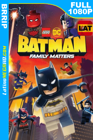 LEGO DC: Batman – La Bat-Familia Importa (2019) Latino FULL HD 1080P ()