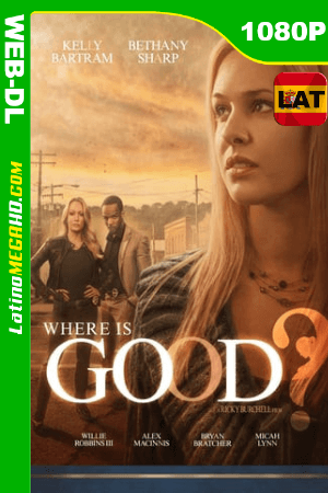 ¿Dónde está Dios? (2015) Latino HD WEB-DL 1080P ()