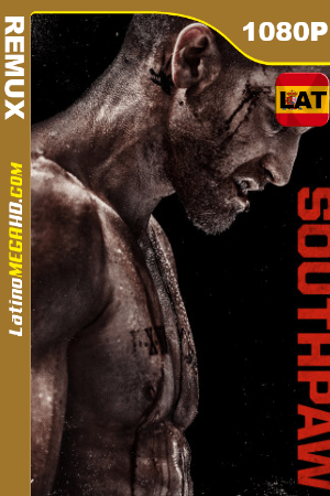 Redención (2015) Latino HD BDREMUX 1080p ()