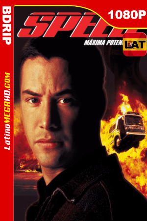 Speed: Máxima potencia (1994) Latino HD BDRIP 1080P ()