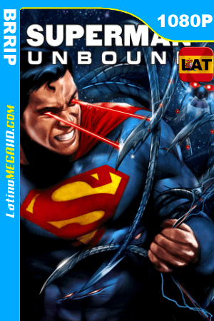 Superman: Desatado (2013) Latino HD BRRip 1080P ()