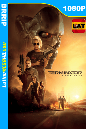 Terminator: Destino Oculto (2019) Latino HD 1080P ()