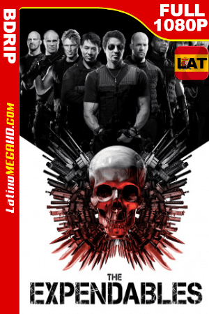 Los indestructibles (2010) Theatrical Cut Open Matte Latino HD BDRip 1080p ()