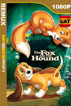El zorro y el sabueso (1981) Latino HD BDREMUX 1080p ()