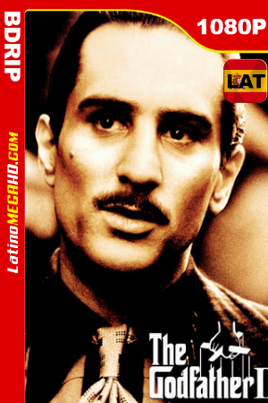El padrino: Parte II (1974) Latino HD BDRIP 1080P ()