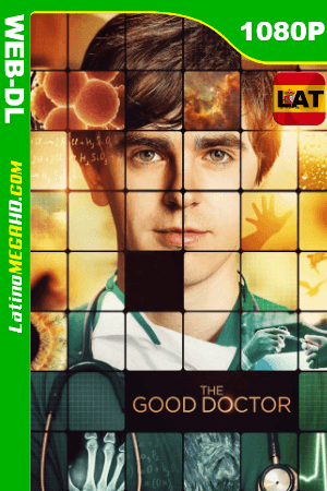 El Buen Doctor (Serie de TV) Temporada 1 (2017) Latino HD WEB-DL 1080P ()