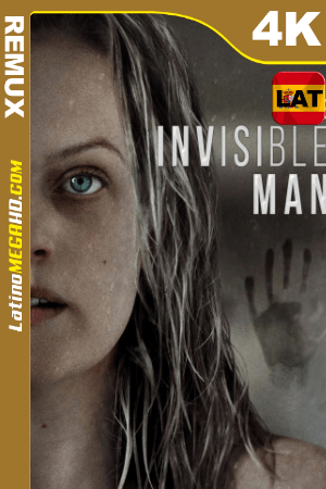 El Hombre Invisible (2020) Latino HDR Ultra HD BDRemux 2160P ()