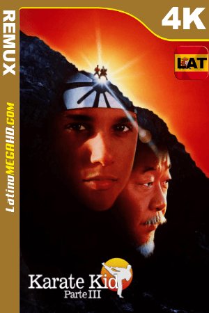 Karate Kid III (1989) Latino UltraHD BDREMUX 2160p ()