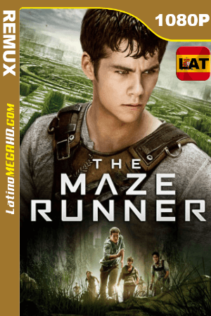 Maze Runner: Correr o morir (2014) Latino HD BDREMUX 1080P ()