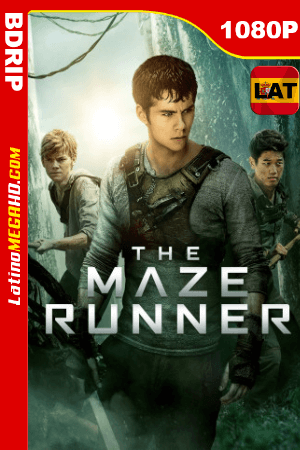 Maze Runner: Correr o morir (2014) Latino HD BDRIP 1080P ()