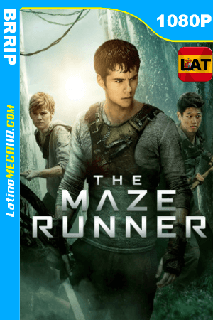 Maze Runner: Correr o morir (2014) Latino HD 1080P ()