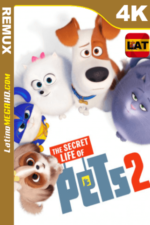 La Vida Secreta de tus Mascotas 2 (2019) Latino HDR Ultra HD BDRemux 2160P ()