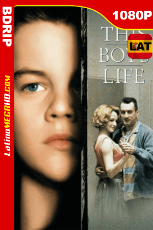La Edad Dificil (1993) Latino HD BDRIP 1080P ()