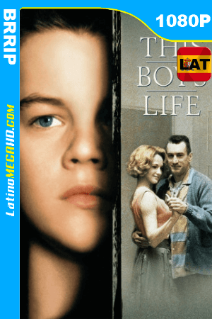 La Edad Dificil (1993) Latino HD 1080P ()