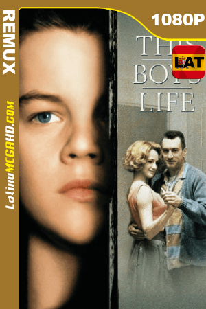 La Edad Dificil (1993) Latino HD BDREMUX 1080P ()