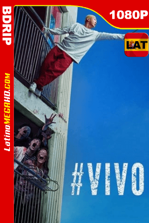 #Vivo (2020) Latino HD BDRip 1080P ()