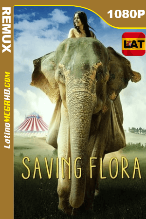 Saving Flora (2019) Latino HD BDREMUX 1080P ()