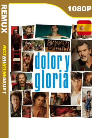 Dolor y Gloria (2019) Español HD BDREMUX 1080P ()