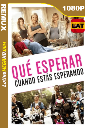 Qué esperar cuando estás esperando (2012) Latino HD BDREMUX 1080p ()