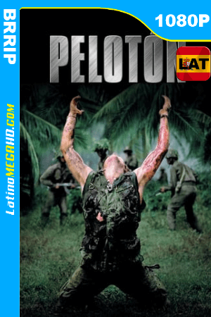 Platoon (1986)  Latino HD 1080P ()