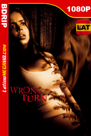 Camino hacia el terror (2003) Latino HD BDRip 1080p ()