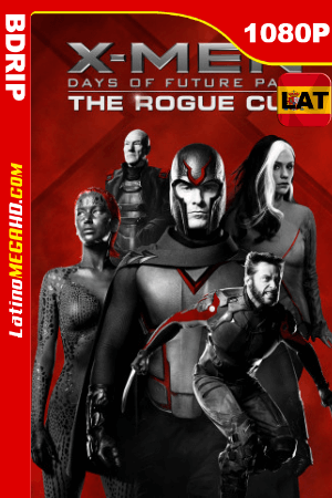 X-Men: Días del futuro pasado (2014) Rogue Cut Latino HD BDRIP 1080P ()
