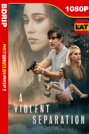 A Violent Separation (2019) Latino HD BDRip 1080P ()