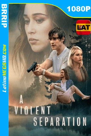 A Violent Separation (2019) Latino HD 1080P ()