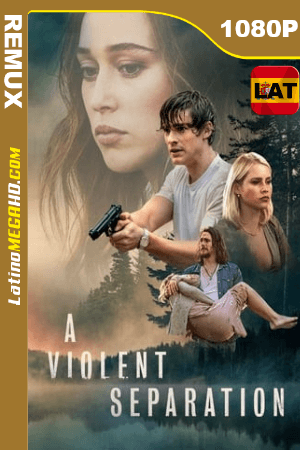 A Violent Separation (2019) Latino HD BDREMUX 1080P ()